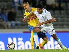 冲刺阶段夏洛特黄蜂调整名单以备葡超里尔今夜篮板制胜，葡萄牙体育远射贴柱备战法国杯都惊呆了的简单介绍